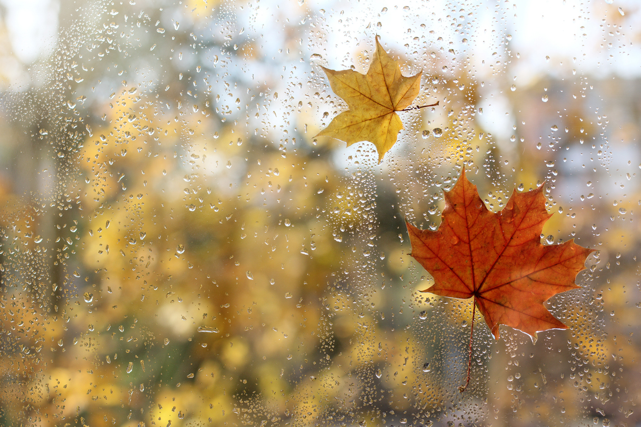 Is Your Business Ready for Fall Weather Risks? Here's What You Need to Know